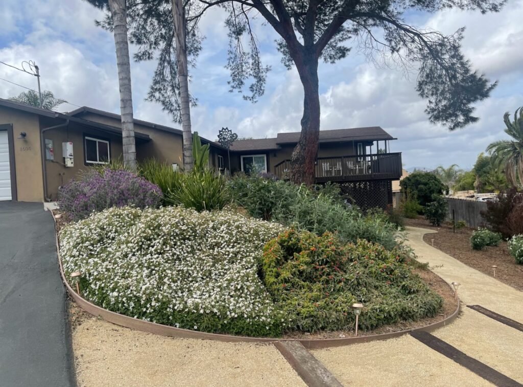 circular flower exterior landscape