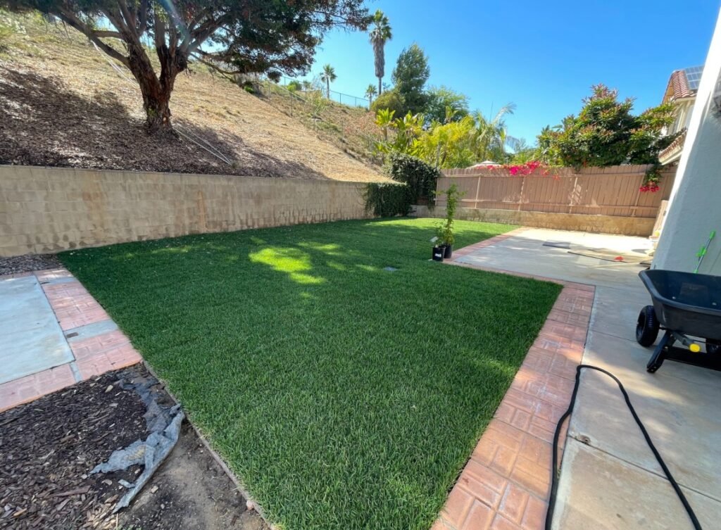 backyard grassy area